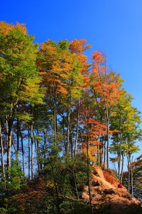激动人心的足球盛宴持续上演
