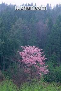 曼城客场胜保加利亚，晋级八强