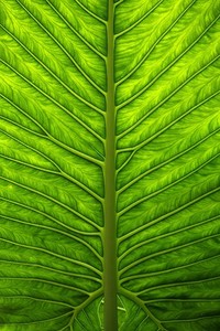 比利亚雷阿尔主场告捷，豪取三分